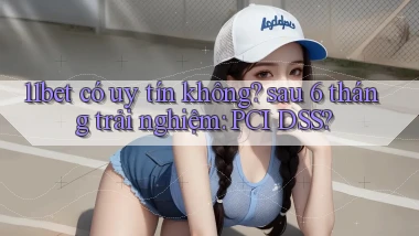 11bet có uy tín không sau 6 tháng trải nghiệm PCI DSS