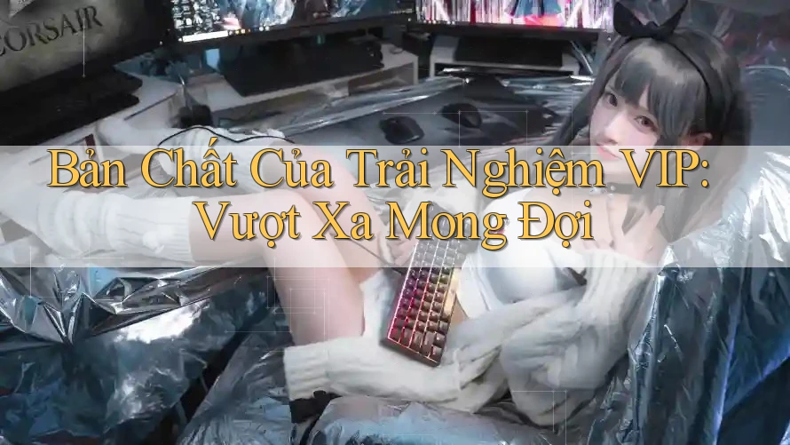 Bản Chất Của Trải Nghiệm VIP: Vượt Xa Mong Đợi
