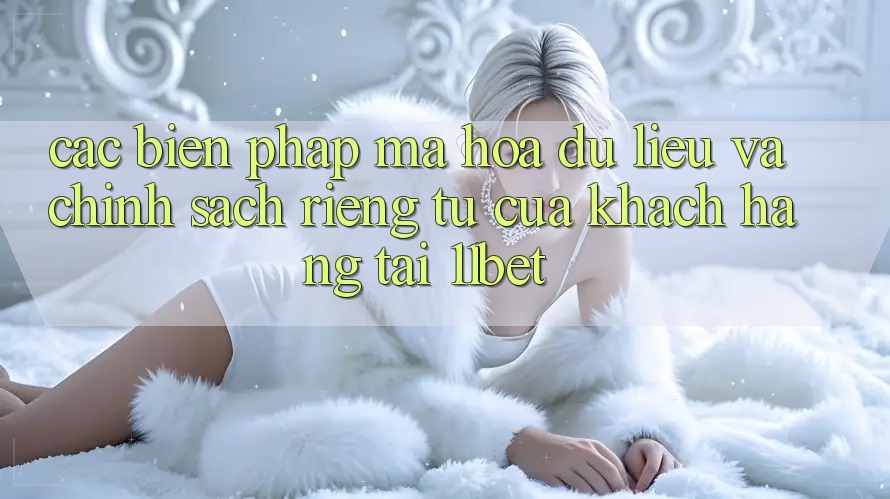 Các Biện Pháp Mã hóa dữ liệu Và Chính sách riêng tư Của Khách hàng Tại 11bet