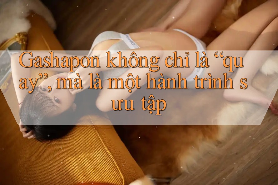 Gashapon không chỉ là “quay”, mà là một hành trình sưu tập