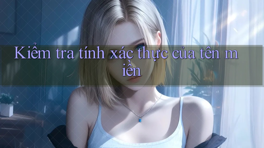 Kiểm tra tính xác thực của tên miền Kiểm tra tính xác thực của tên miền